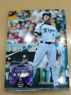 阪神タイガース 金本知憲 4.9世界記録達成記念日限定クリアファイル