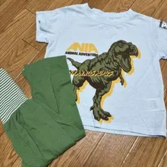 アニア　恐竜パジャマセット　メッシュ