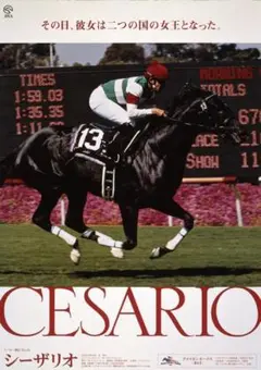 JRA ヒーロー列伝 B3 ポスター No.65 ウオッカ 競走馬 - メルカリ