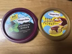 Häagen-Dazs アイスクリーム蓋 2種セットのサムネイル