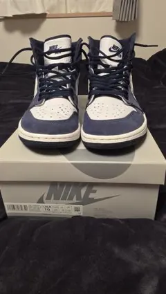 Nike Air Jordan 1 High OG CO.JP