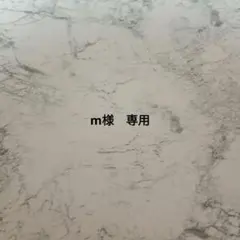 m様　専用