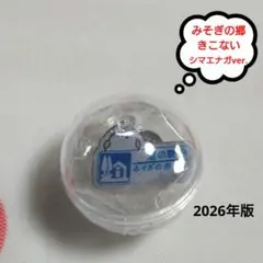 シマエナガ》 北海道 道の駅 てっくいランド大成 2026年版 ピンズ 未