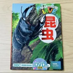 学研の図鑑 LIVE 昆虫 DVD付き