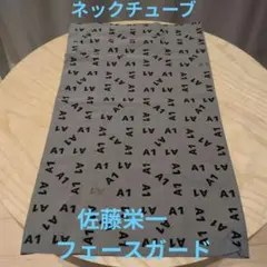 Item thumbnail for item f838963a-9d32-4568-953b-9d61e31cf1cf