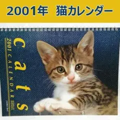 Item thumbnail for item 5ffd4c5b-88ac-477e-8c81-5a3b2fbb8d15