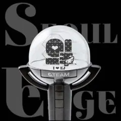 2025年最新】&team ペンライトの人気アイテム - メルカリ