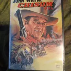 チザム('70米)アメリカ映画dvd