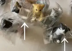 新品未使用/結婚してくニャさい　リングスタンドコレクション【みけ】【はちわれ】