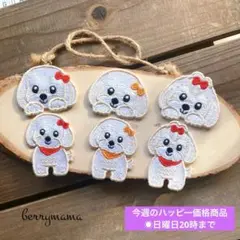 【特別ハッピー価格♡】1セット限定　マルチーズワッペン