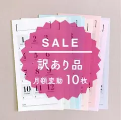 【訳あり品】シンプルな家計管理シート [月額変動タイプ/マカロンカラー] 10枚