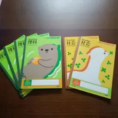 Item thumbnail for item 9e3da69c-4d63-4c8e-9d6f-c4b02f8a4092