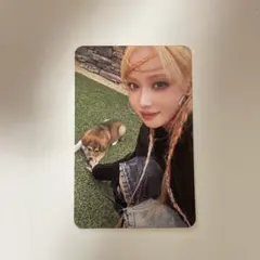 Armageddon zine ウィンター　トレカ