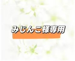 みじんこ様専用ページ