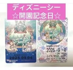 【使用済】2014年度 ディズニーリゾートライン 切符 パス リゾラ 使用済】2014年度 ディズニーリゾートライン 切符 パス リゾラ