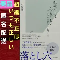 組織不正はいつも正しい ソーシャル・アバランチを防ぐには／中原翔
