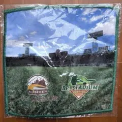 Item thumbnail for item 16027f57-a13f-4574-ab64-85d97ba51103