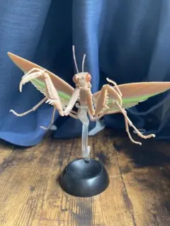 カマキリ カプセルトイ