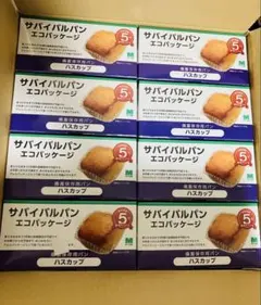 サバイバルパン 24箱　エコパッケージ ハスカップのサムネイル