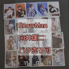 SnowMan 向井康二 写真 201枚