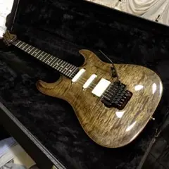 Tokai Custom Edition 改 タケウチローズ＆ダンカンAHB-1 - メルカリ