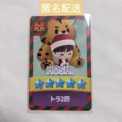 SEVENTEEN パズチ パズル ホシ トレカ