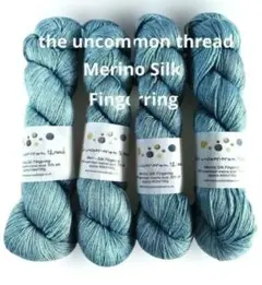The Uncommon Thread 　Merino Silk 1カセ