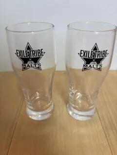 EXILE TRIBE The Malts グラス 2個セット