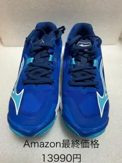 2025年最新】バレーボールシューズ ミズノ ブルーの人気アイテム