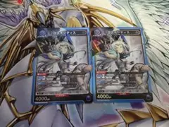 ロスモンティス 2枚セット