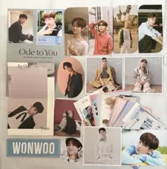 SEVENTEEN トレーディングカード等　セット(ウォヌWONWOO多め)