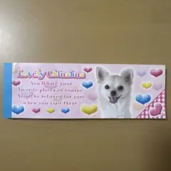 平成 レトロ メモ帳 犬