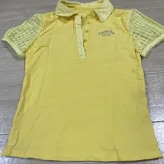 Item thumbnail for item 1ab8d30d-08bd-4169-a950-c95d624be9bf