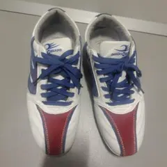 ドラゴンベアード DRAGON BEARD スニーカー.