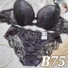 №1520【B75】シャルムチュールホールブラジャー ＆バック透けショーツ