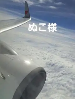 ぬこ様