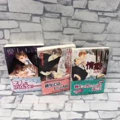 D4813 小説 講談社X文庫 ホワイトハート高岡ミズミ セット