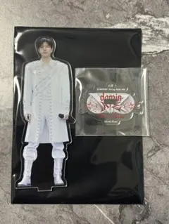 Straykids dominATE スンミン　VR アクスタ
