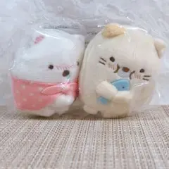 楠木ともり くっつく!ますこっともり ぬいぐるみ - メルカリ