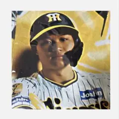Buffaloes2024,2025ベース型タペストリー 廣岡大志 - メルカリ