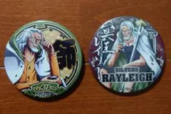 ワンピース レイリー 缶バッジ ２個セット