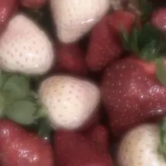 専用 リク