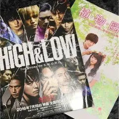 HiGH&LOW,植物図鑑 フライヤー