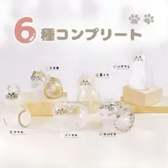 6個セット 猫 けだまだま キーホルダー 猫の毛入れ コンプリート メモリアル