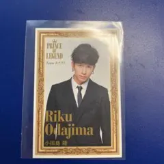 長谷川慎 小田島陸 フォトカード トレカ