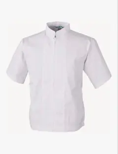 Item thumbnail for item ef0295d3-1598-4386-8160-0af8cefc2aab