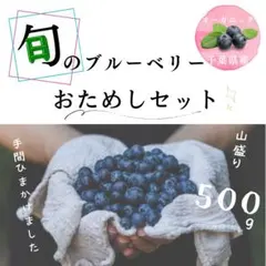 【限定価格】千葉県産の無農薬の生ブルーベリー 500gのサムネイル