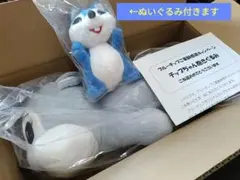 ブルーチップ チップちゃん抱きぐるみ＋チップちゃんぬいぐるみ＋応募券100枚