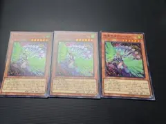 遊戯王　絢嵐たるクローゼア　スーパーレア3枚