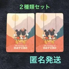 ディズニーストア　じゃんけんカード　軽井沢